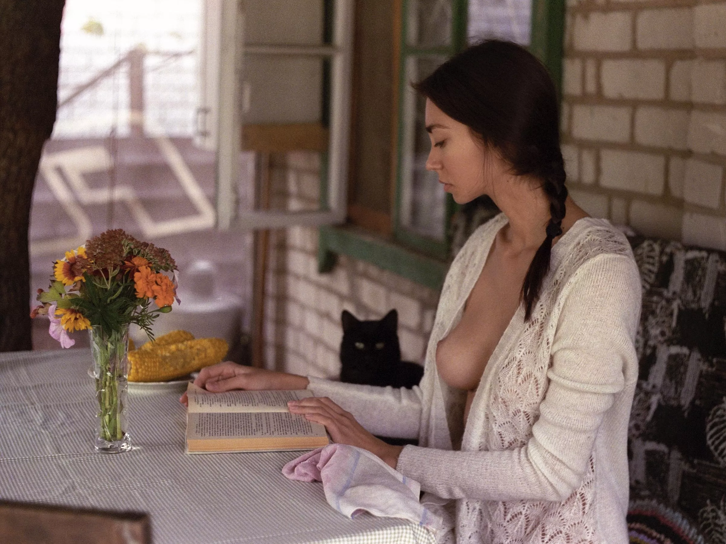 cat posted by frank461974