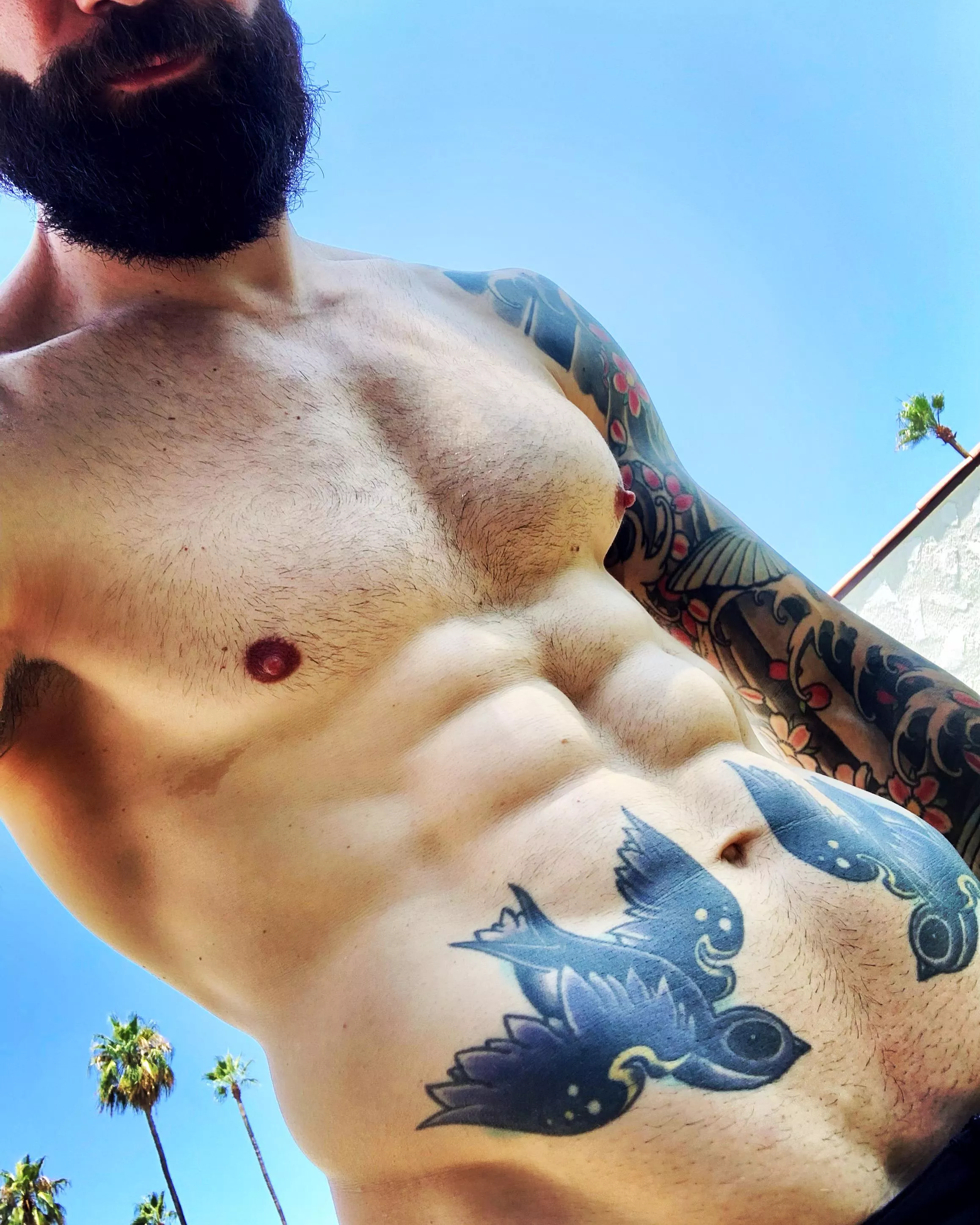 Chest hair or no? posted by tepelorn