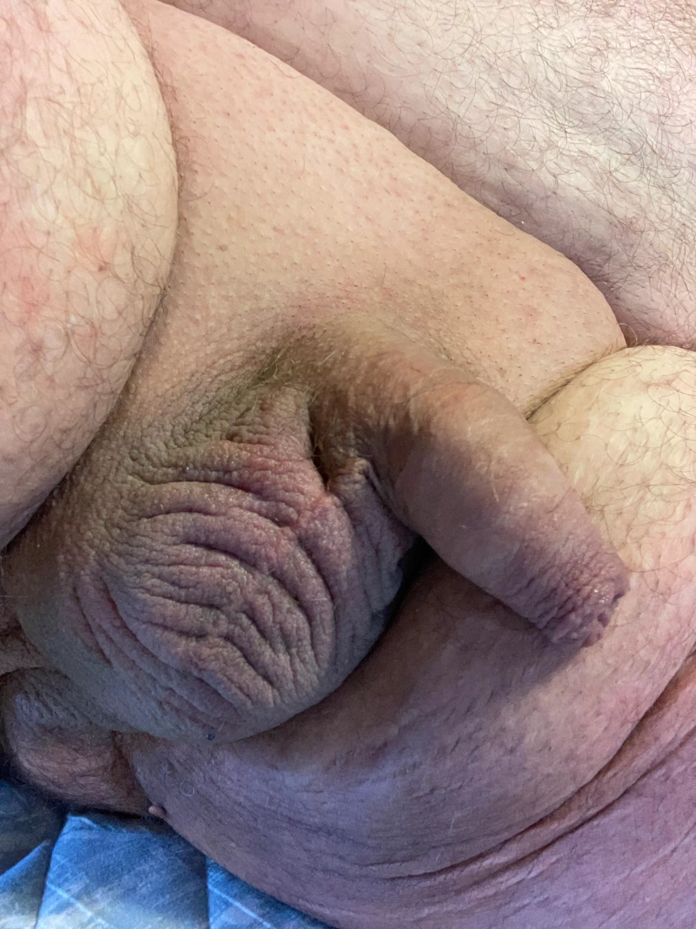 Freshly shaved posted by Source-Opposite