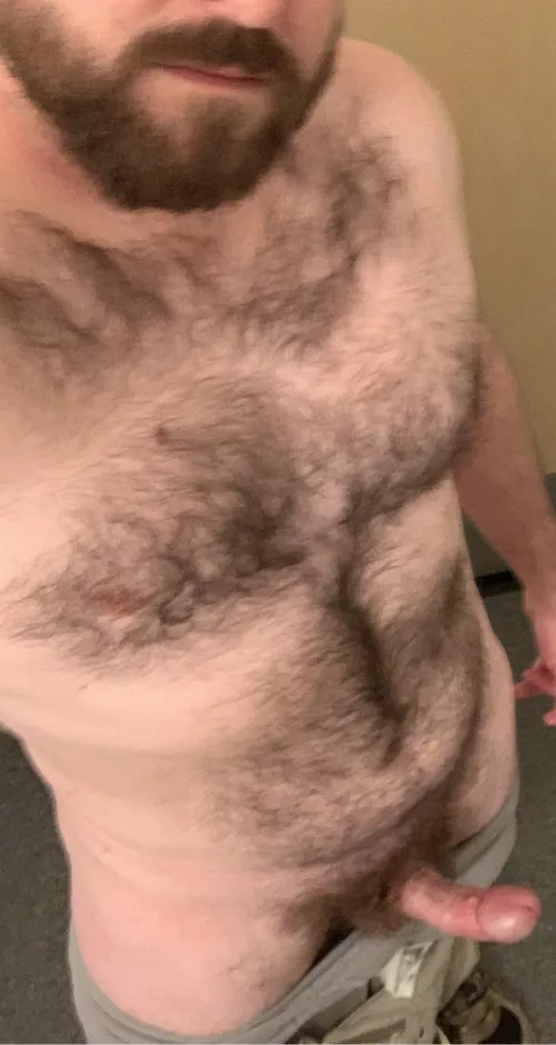 Hard as a rock this morning by coyote_joe07