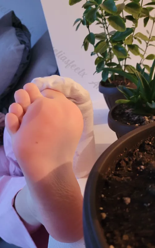 I bet my plants enjoyed the view 🤭 by ameliasfeetx