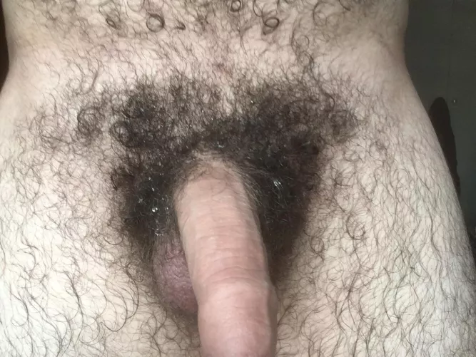 I’m still a bit wet from the shower, come help me dry by horny_bi_