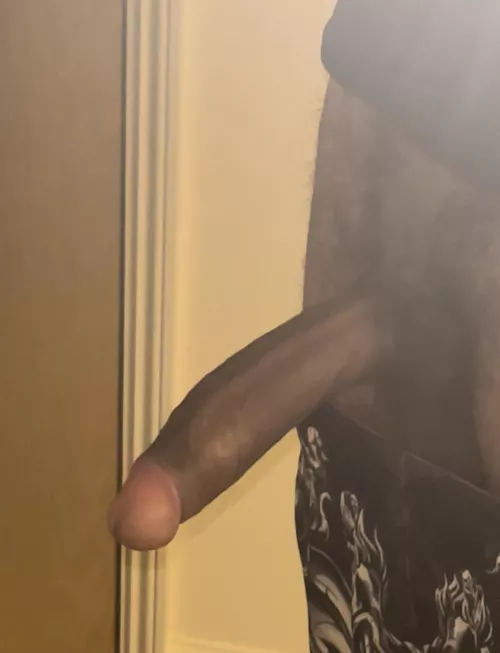 Let’s have fun by SicilianSeal