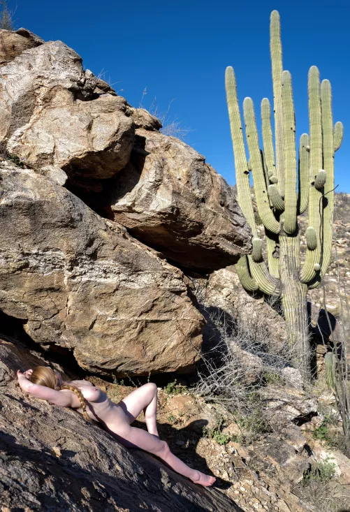 Loving the desert sun! by durwood121