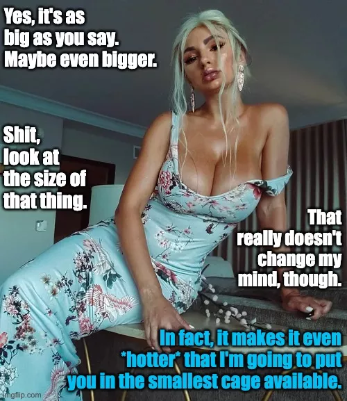 That doesn't change my mind by ZinguBing