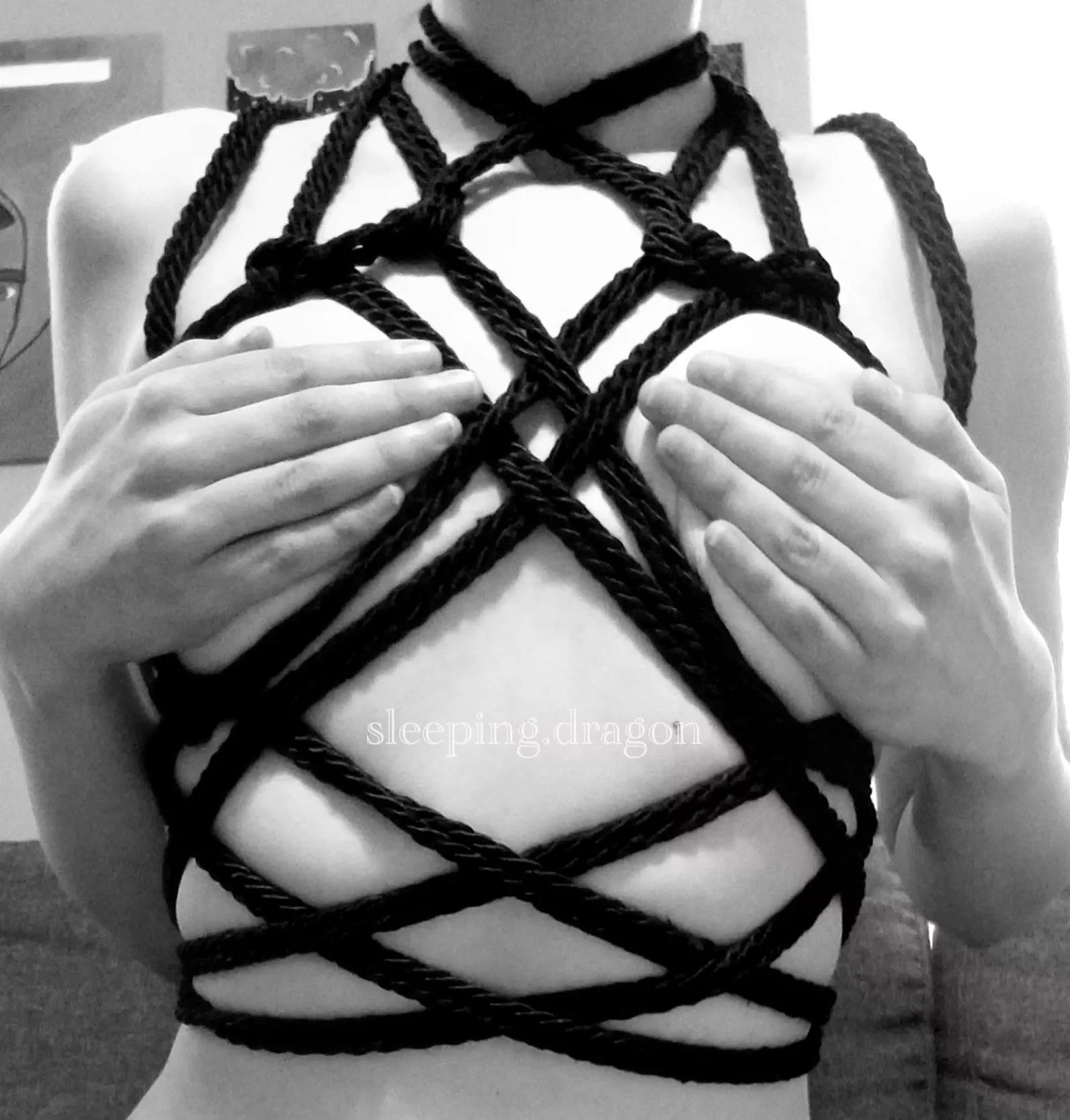 Today's first attempt. posted by SleepingDragonn