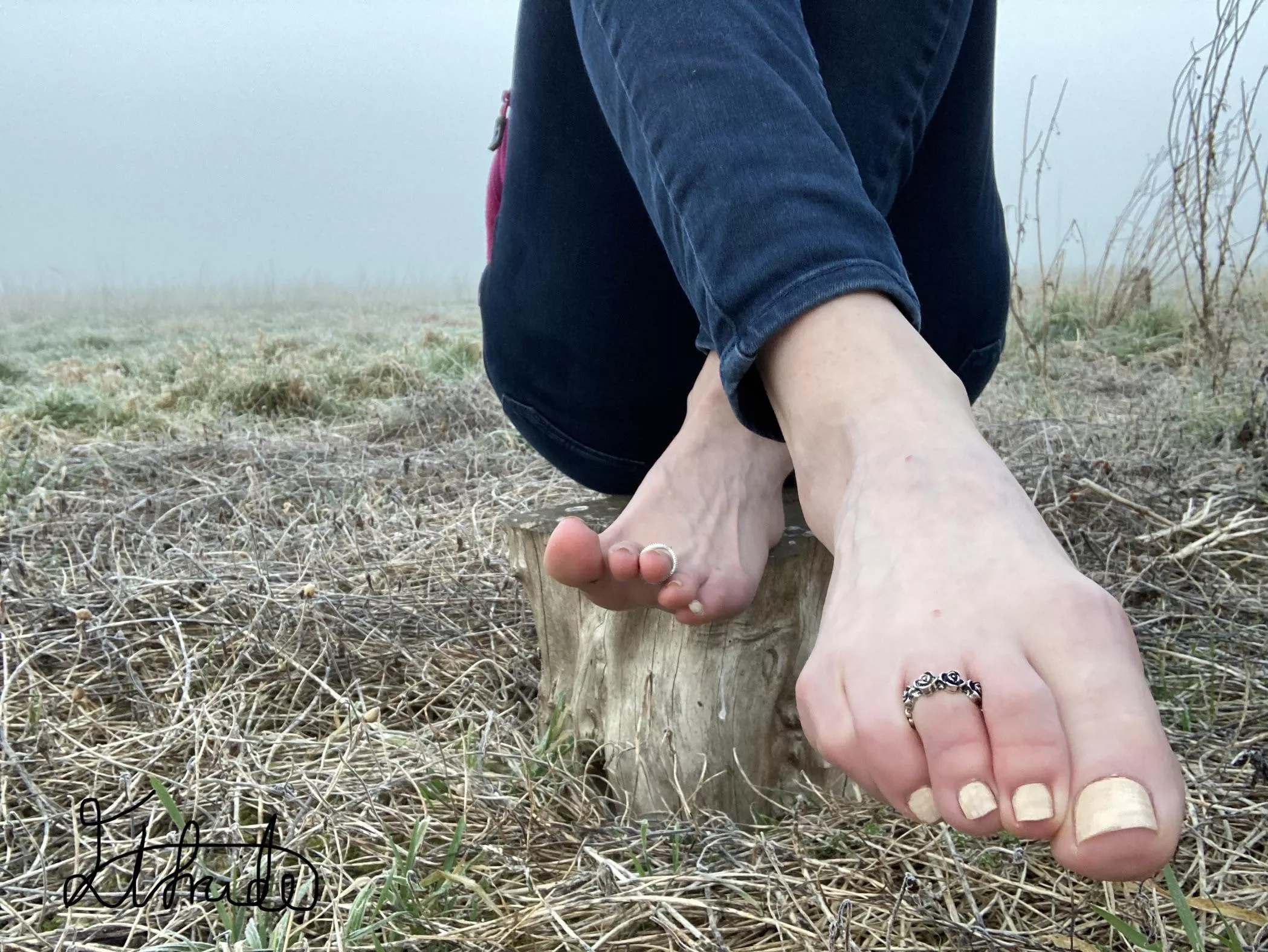 Toes in the mist, do they mystify you? posted by Elfrida77