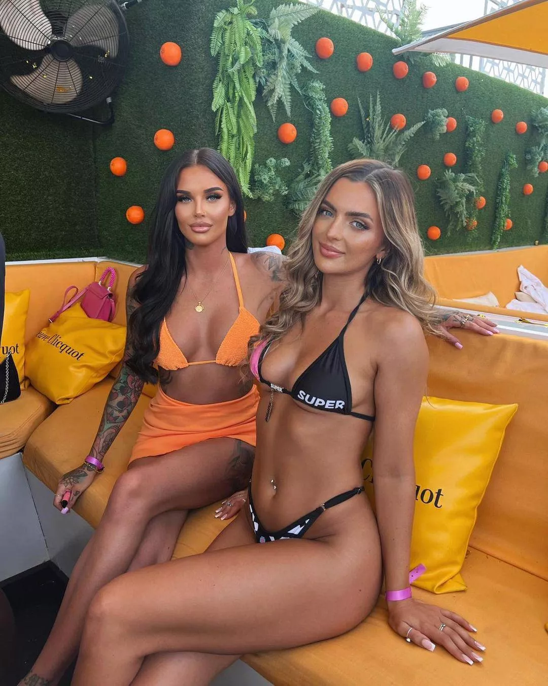 Which one? posted by Itchy-Remote-4762