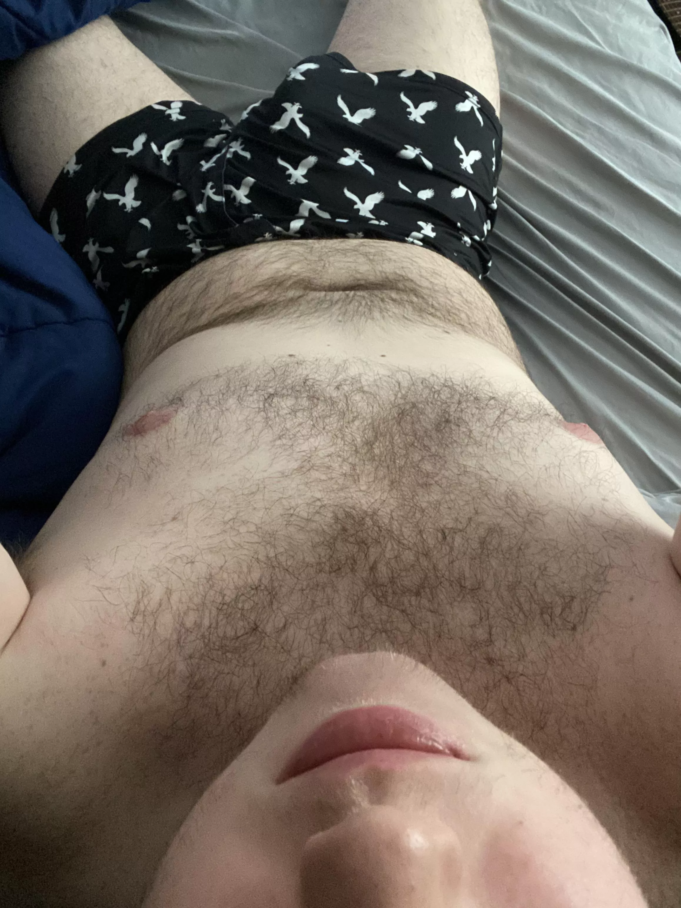 Who likes hairy guys? posted by Bigguyx1999