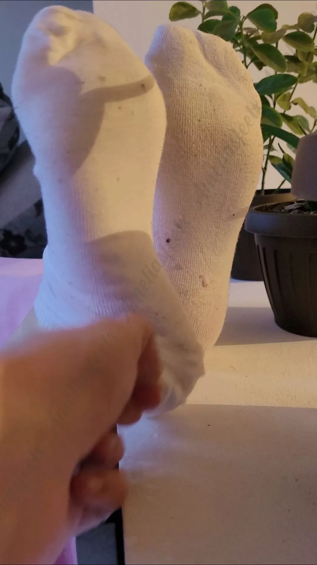 Who wants to see my dirty socks being taken off 😈 posted by ameliasfeetx