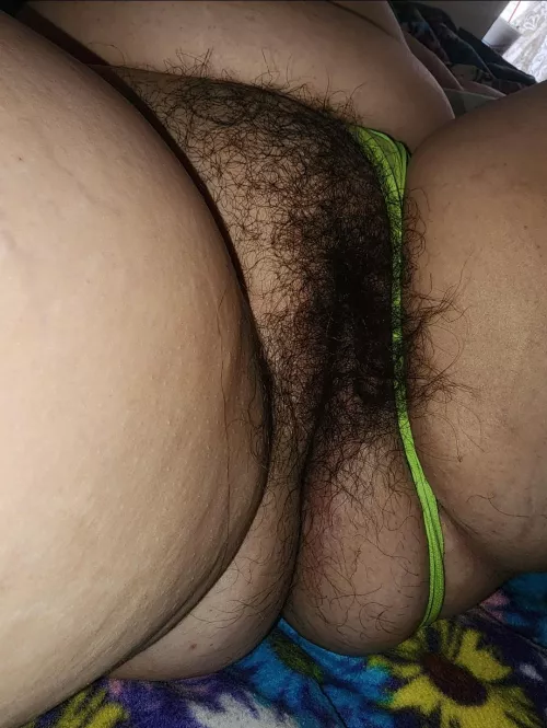 1st time posting and unsure... What would you rate (1-10) this bush?!? by Amalik_Yoazz