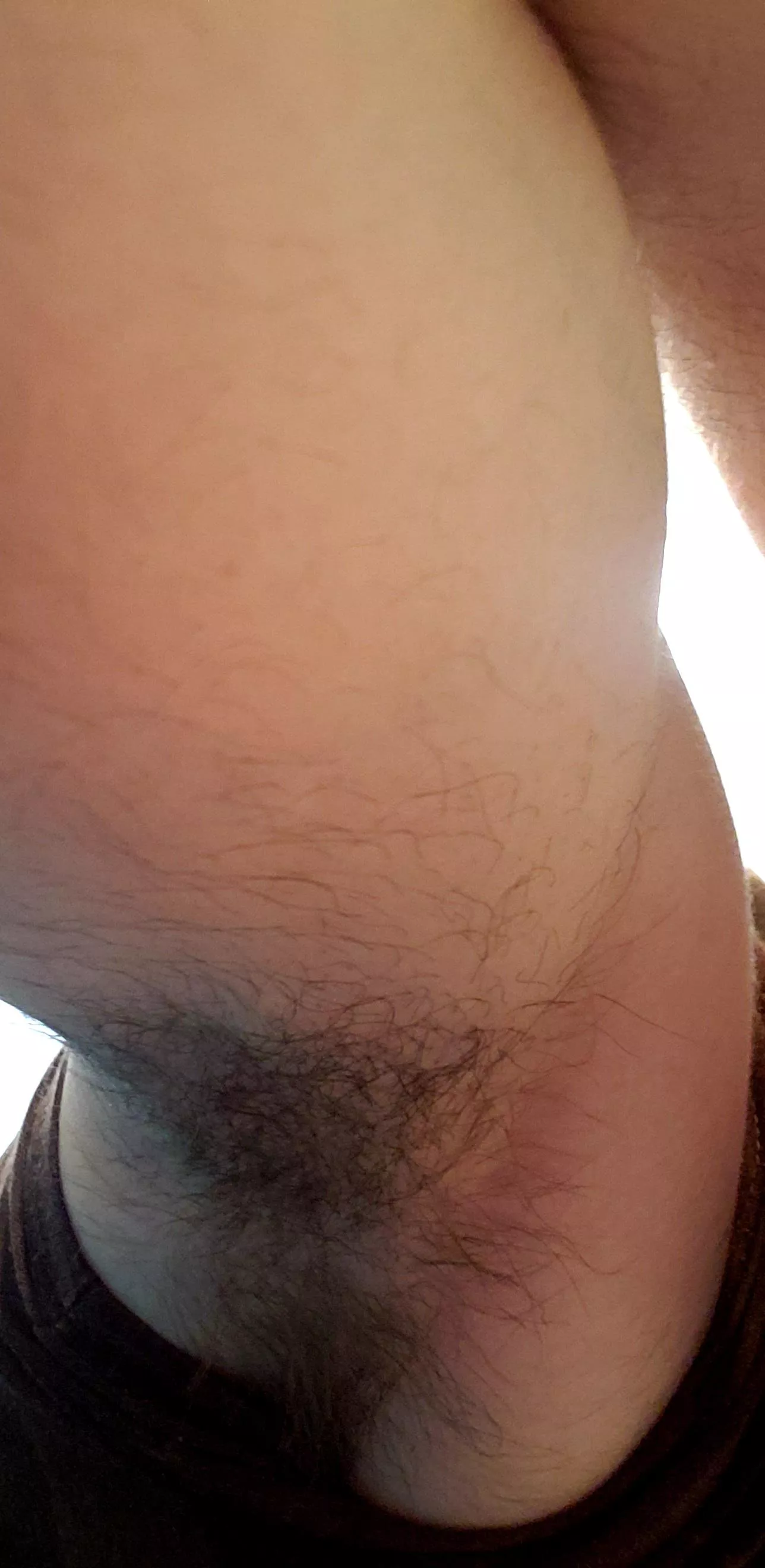Alright bro, you lost the bet so you know the drill. Bring your face in...good. Now sniff... posted by Tired-andsad