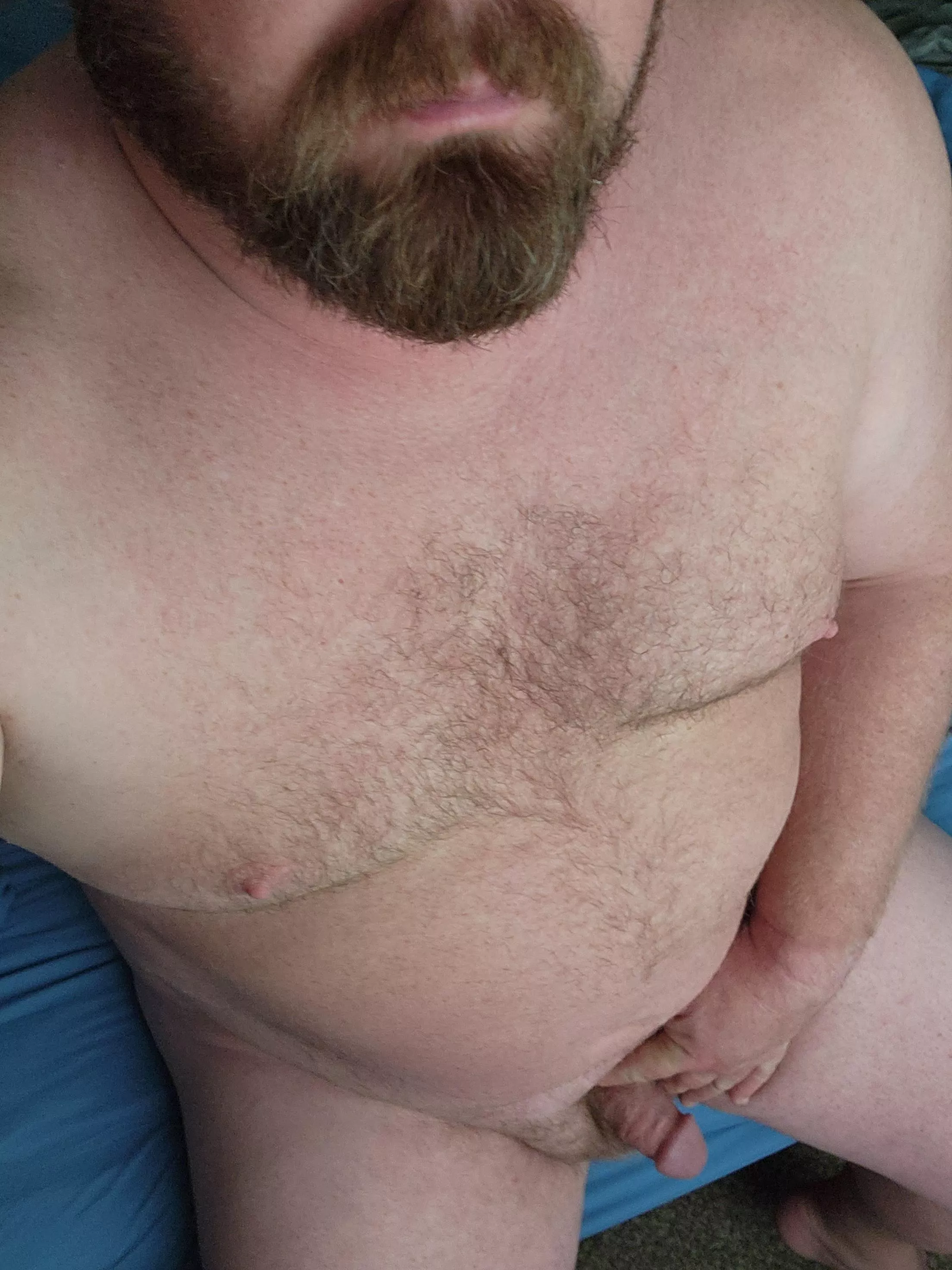 Good morning posted by Quietwave907