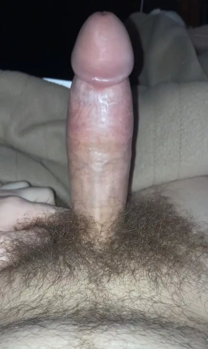 Hairy af posted by DanielS35