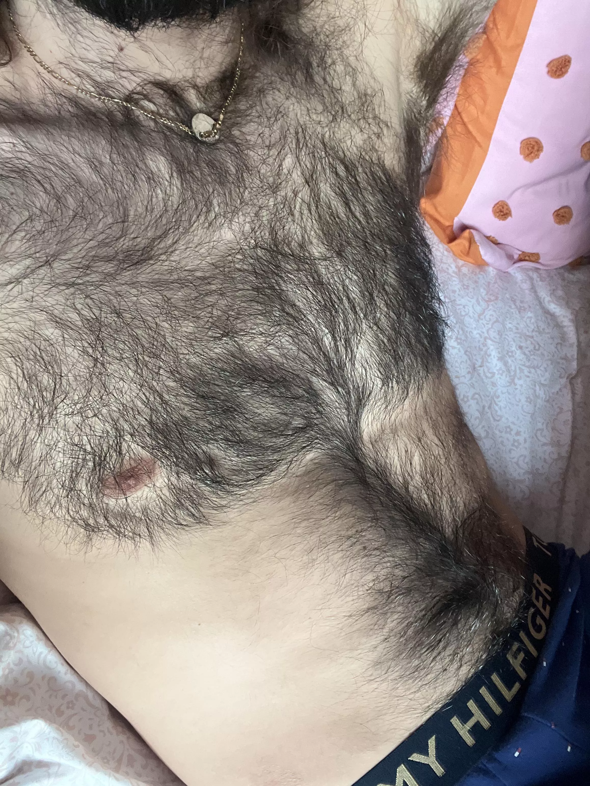 Hairy Tuesday posted by Proletariat_Pace187