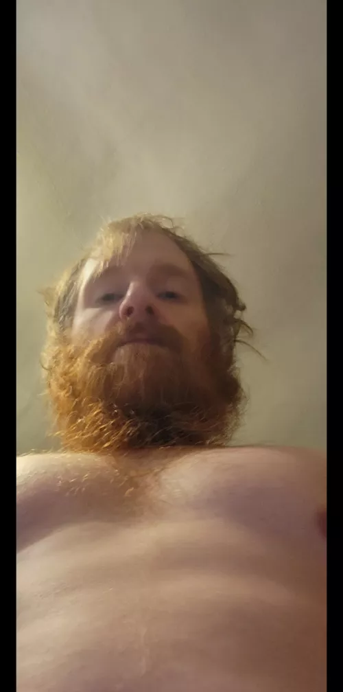 hello there by deansalvitore