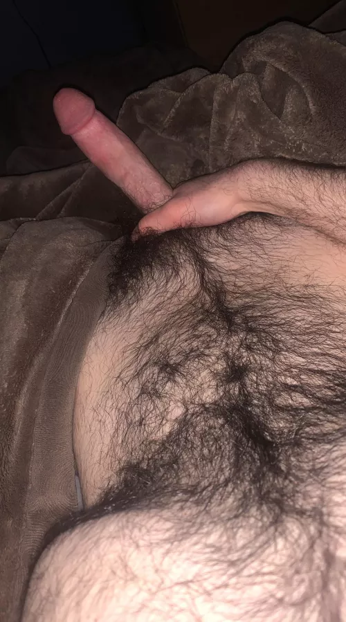 Need a twink to make this hairy 20 yo cock cum by jsmith_6969696