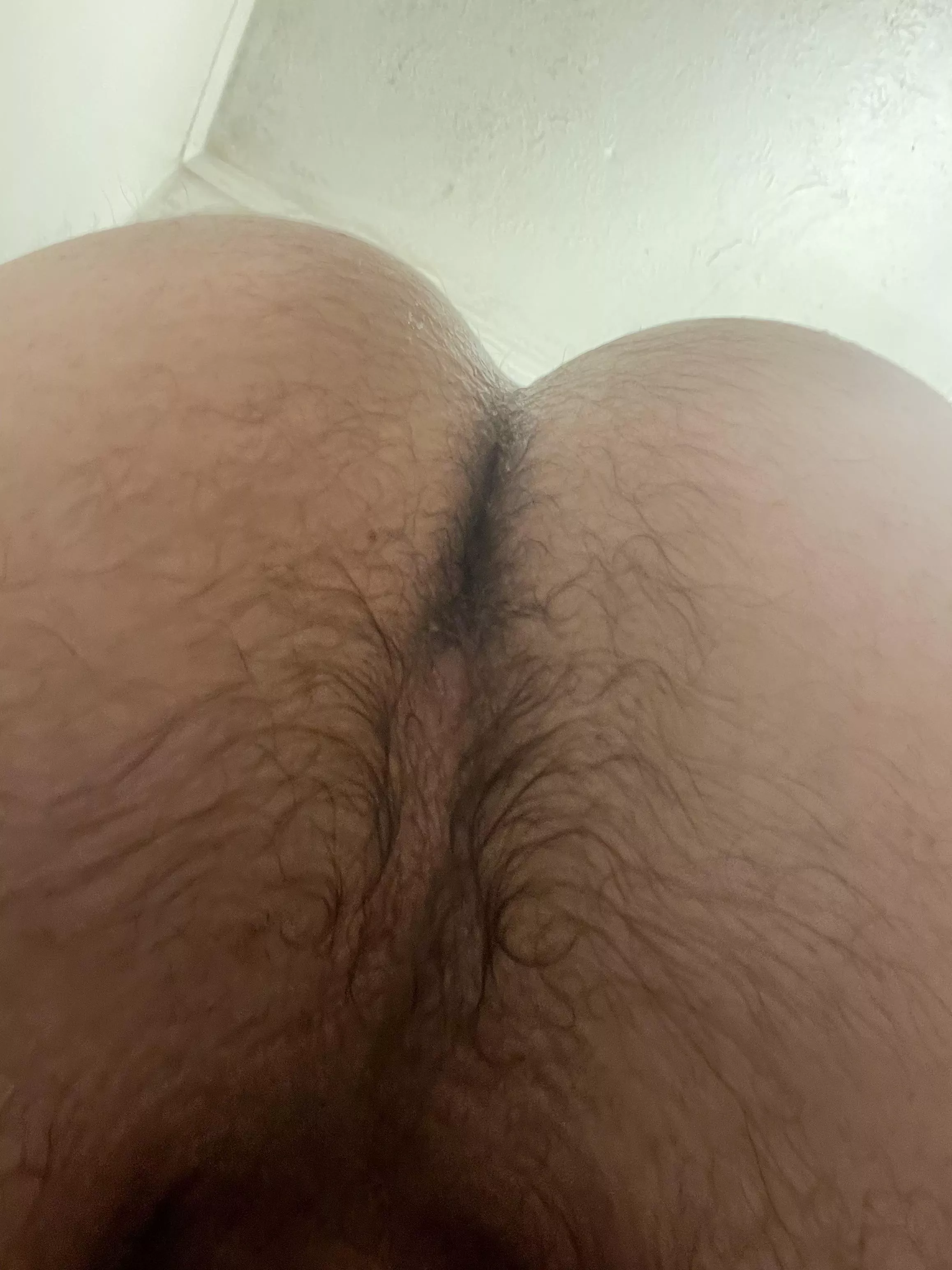 Oh hey there posted by BrienneofQarth