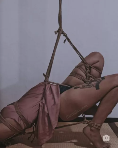 probs not wild enu(f), but does anyone know a good shibari sub? by dyedd