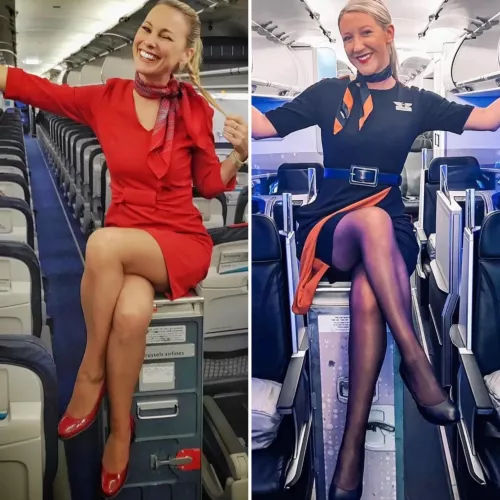 Red or Blue? by arrayoutofbounds