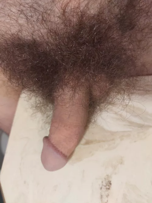 Sometimes it's best to just lay it all on the table. by Guilty_Wave_808