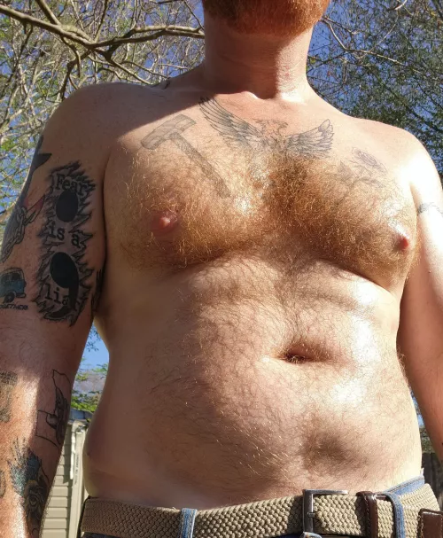 Sun kissed Ginger chest hair by texcentricasshole