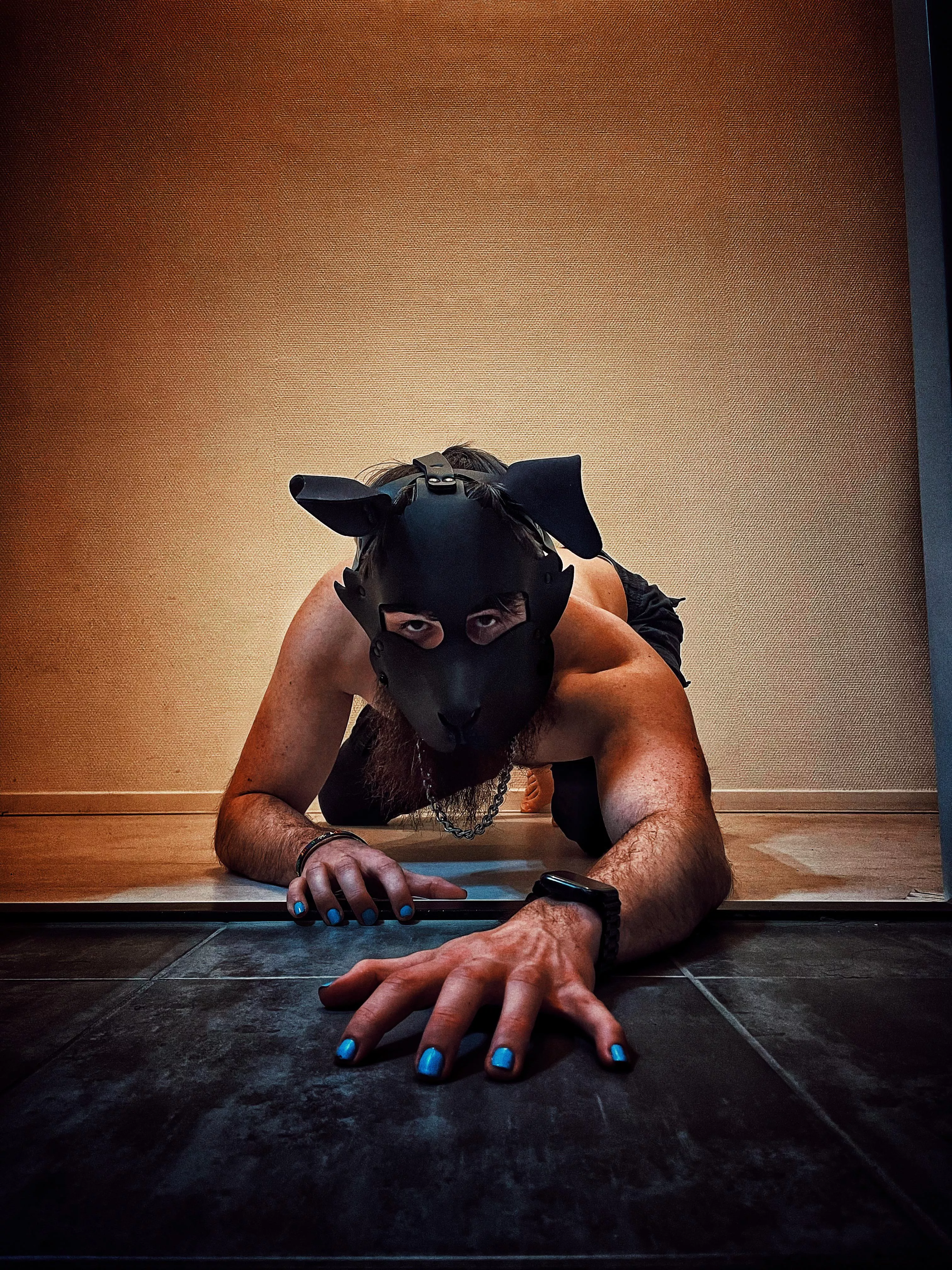 This silly mutt decided to give Reddit a go! ( intro ) posted by enderwuff