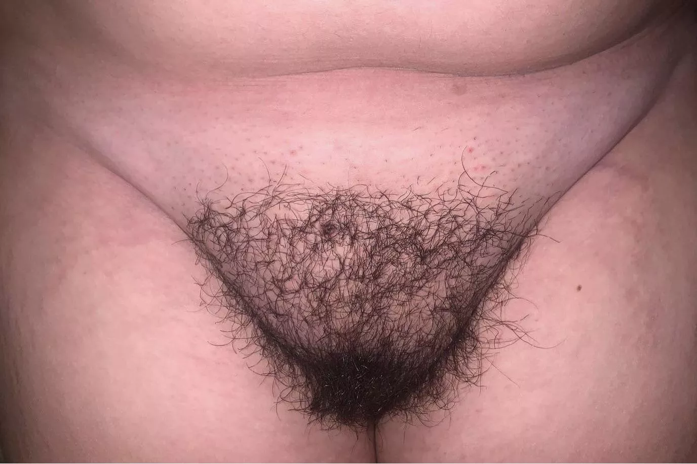 What 4+ months of growth looked like 😏 posted by chickfromthasouth