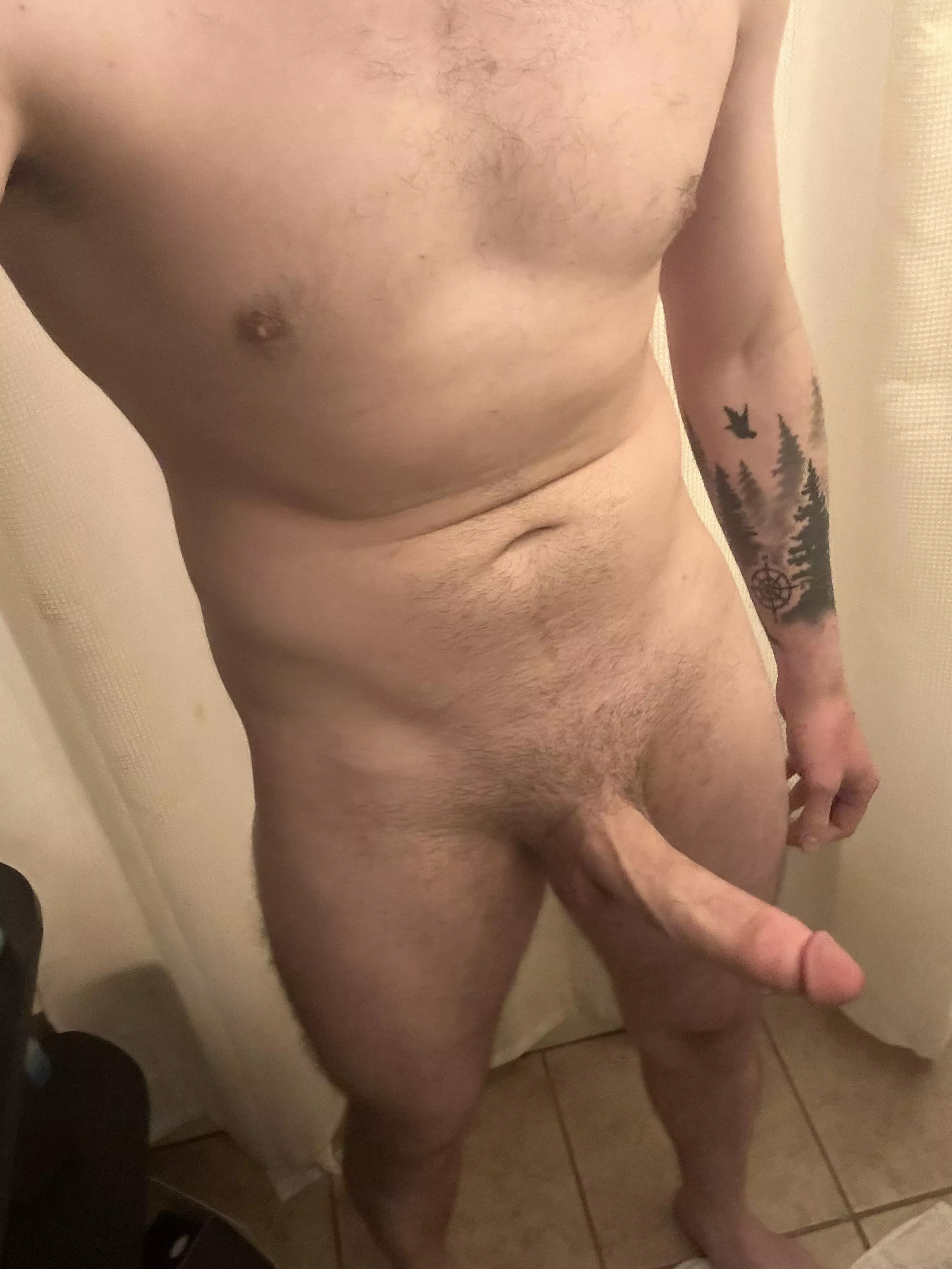 Who needs a breeding? posted by BakedBread40