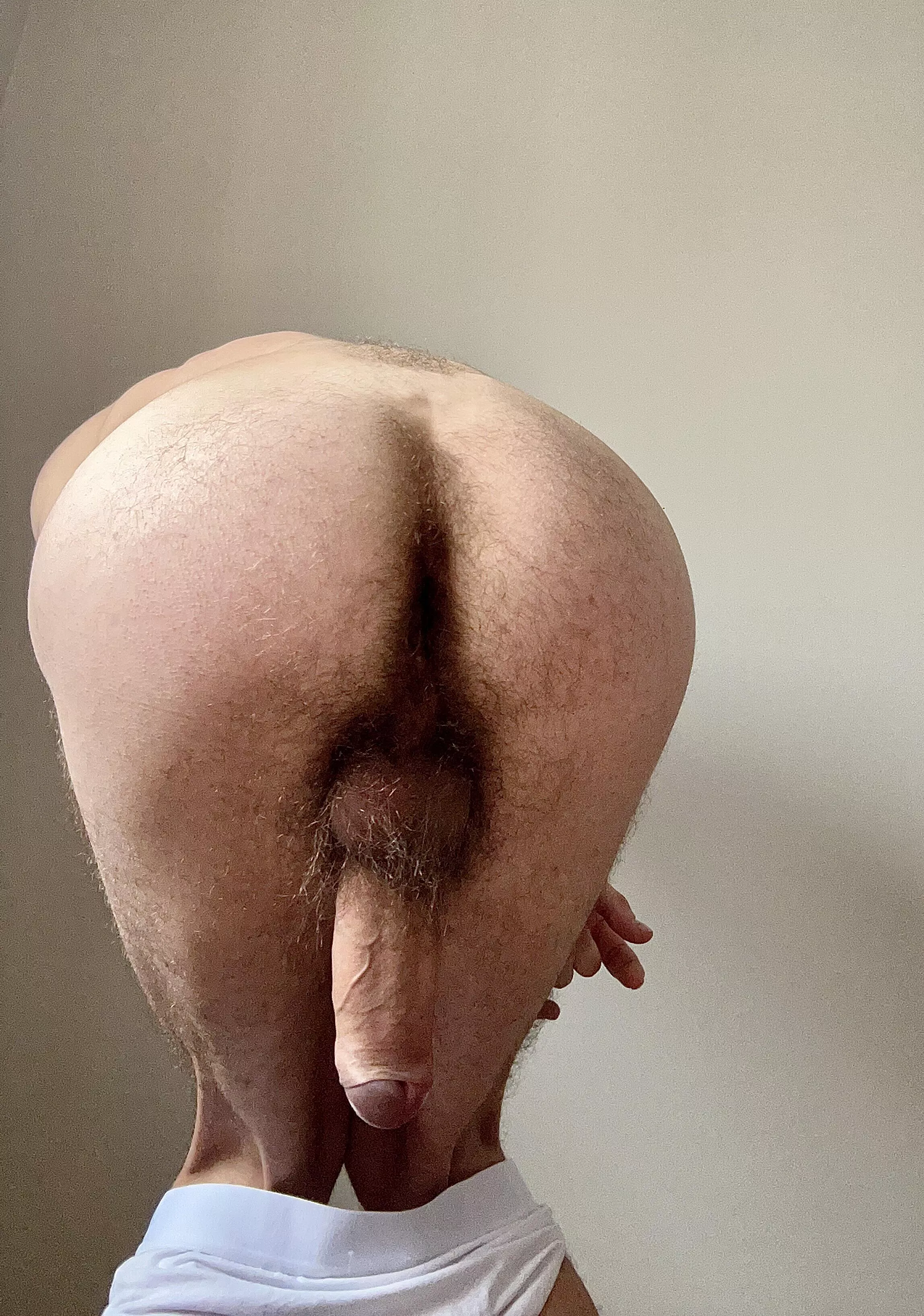 Who wants use? posted by altqex