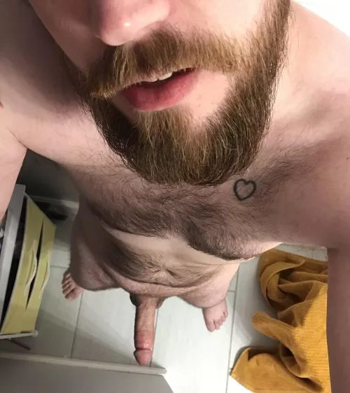 32 married daddy needs sissies, femboys and crossdressers to use like fucktoys while my wife’s asleep. Young, smooth, thongs to the front @todd_j8353 by ry745