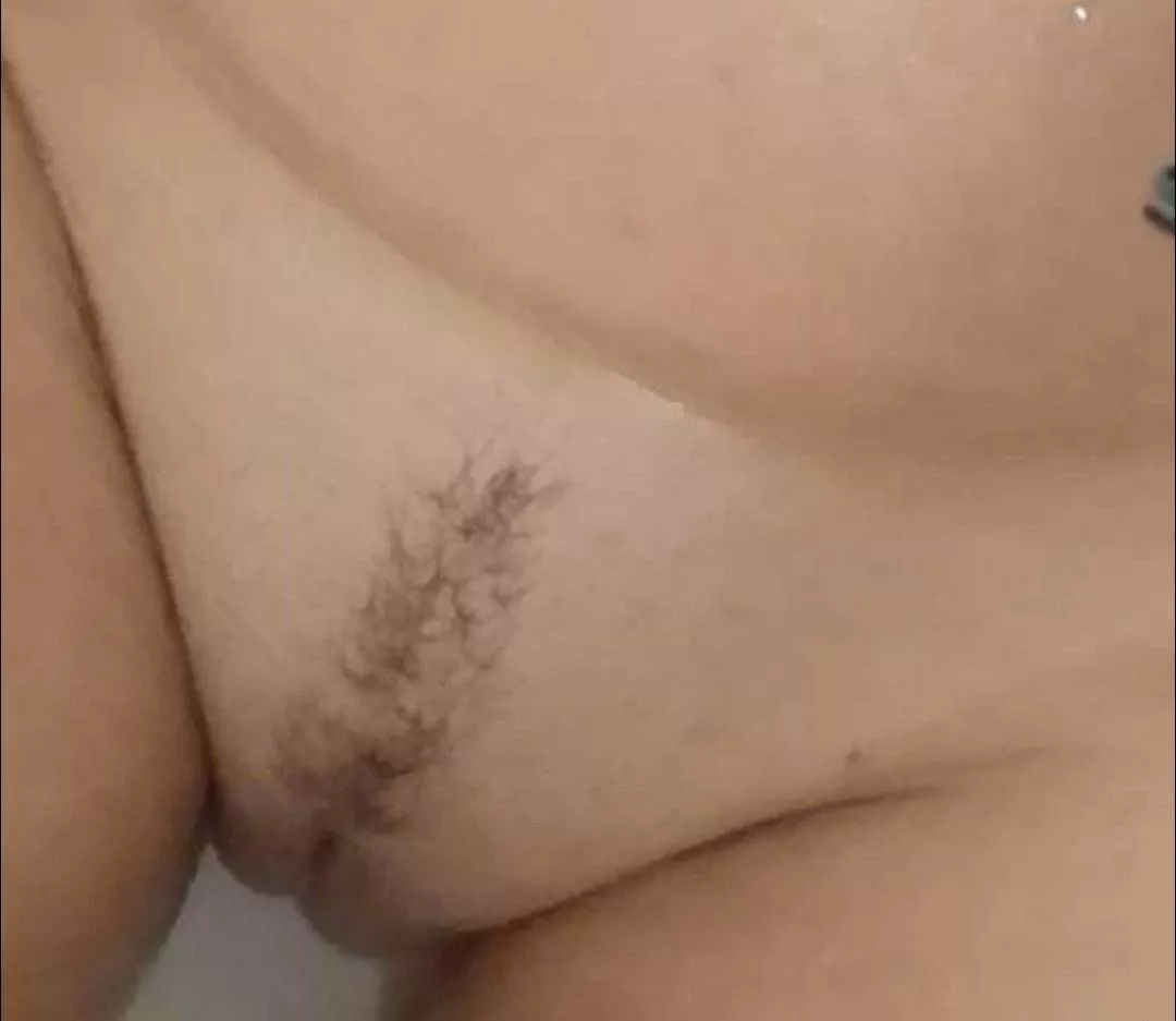 56f nice pussy ? posted by dexterhasslehoff