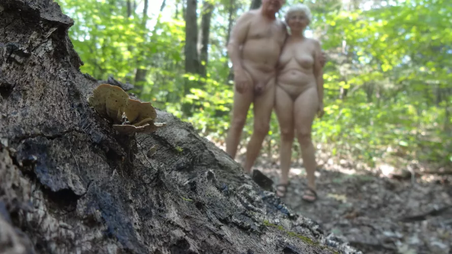 A walk in the woods. by mowander