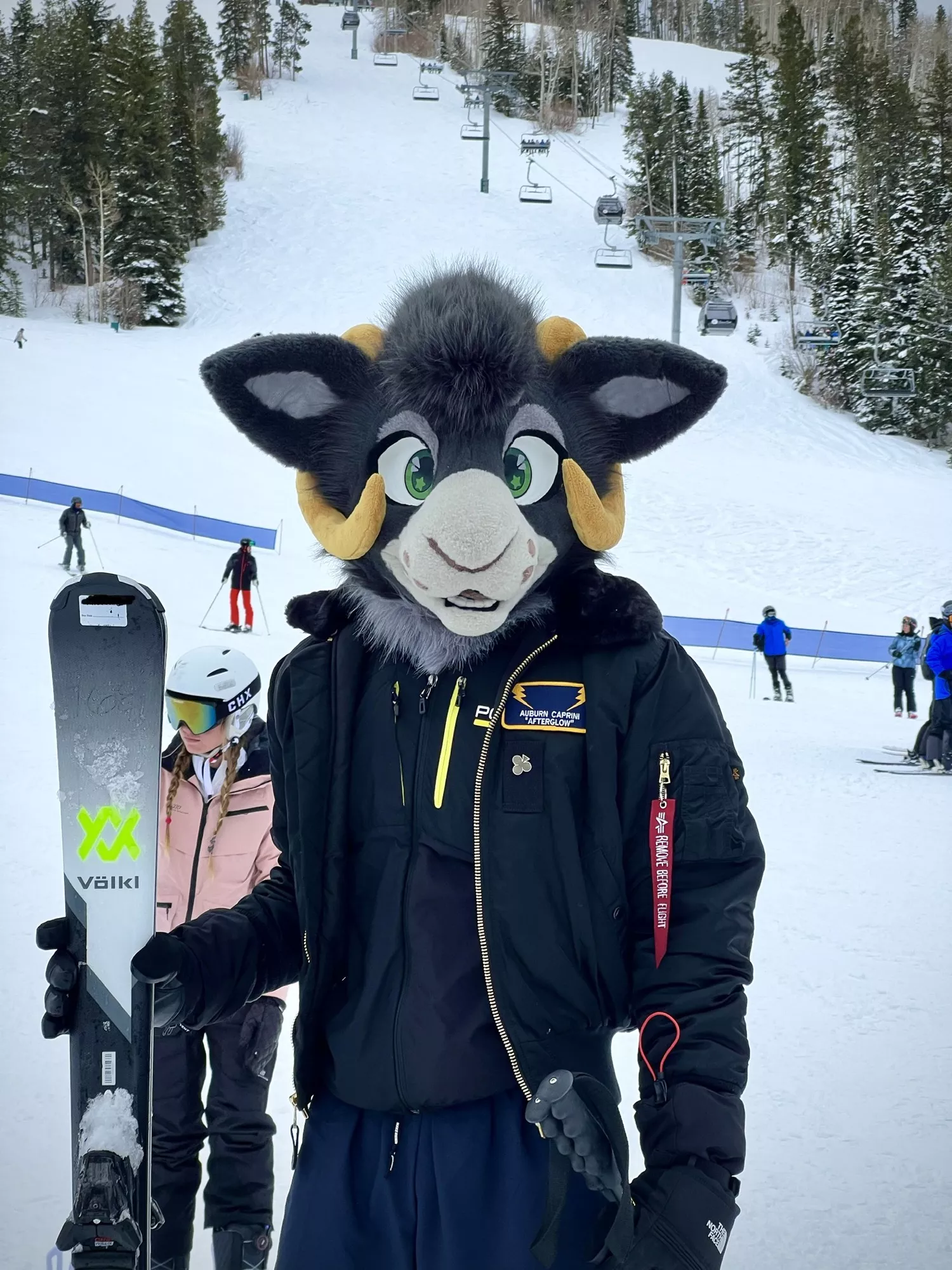 Alpine goat posted by stayawayfromthealien