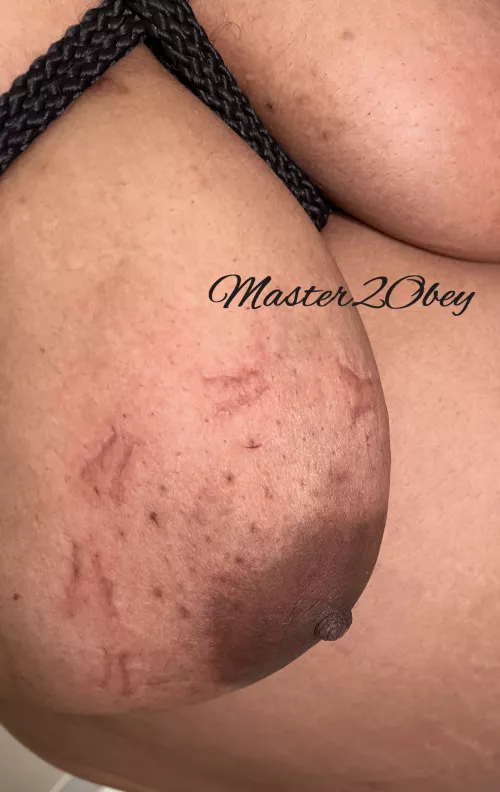 Beautifully marked flesh; these are going to last a while [M][F] by MisterJandMe