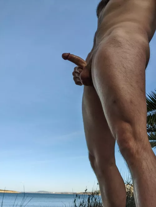 can't choose between cock or a good view, have both by Eastern_Rough_8397