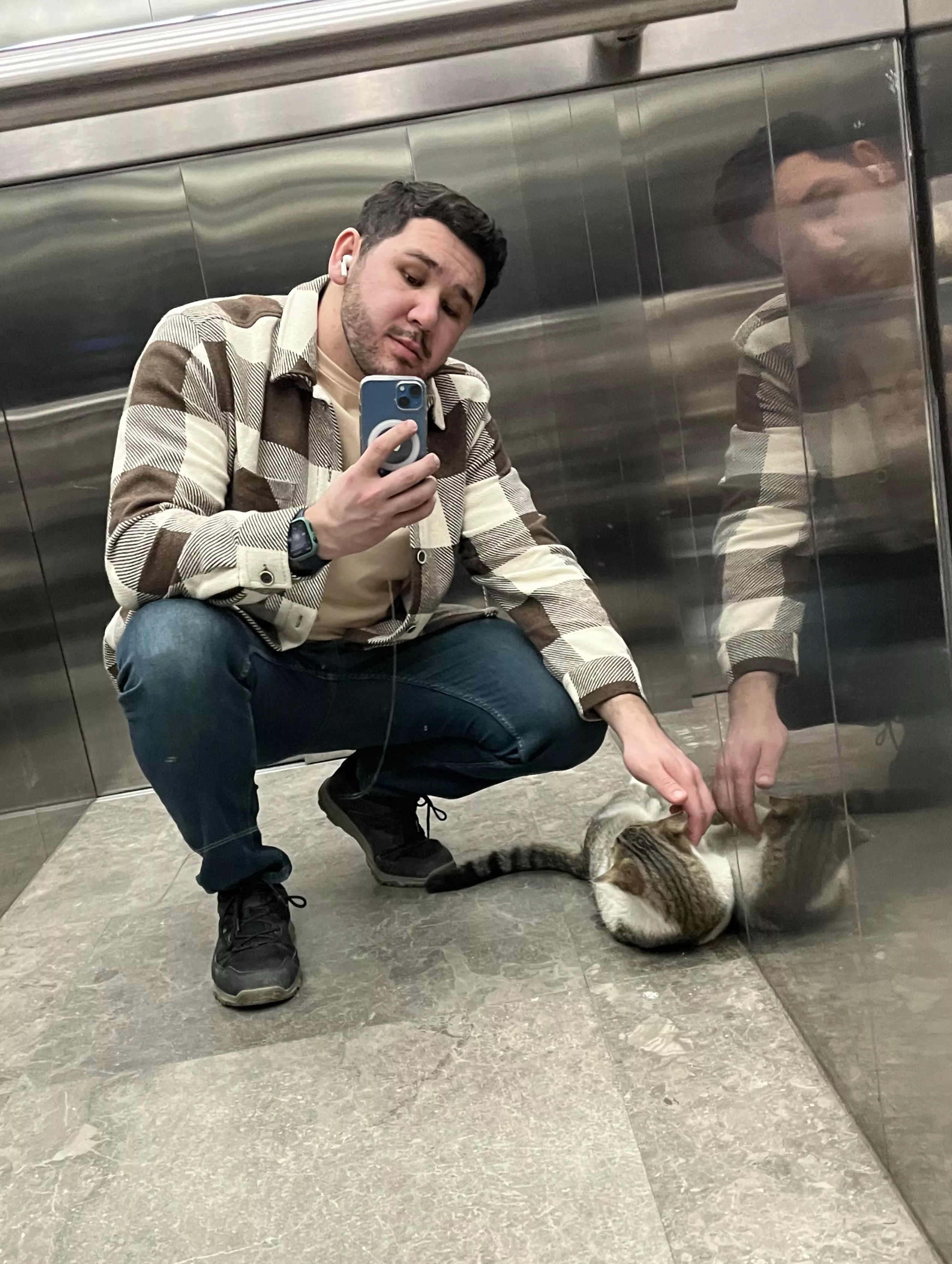 Cat lovers here? posted by jtolibov