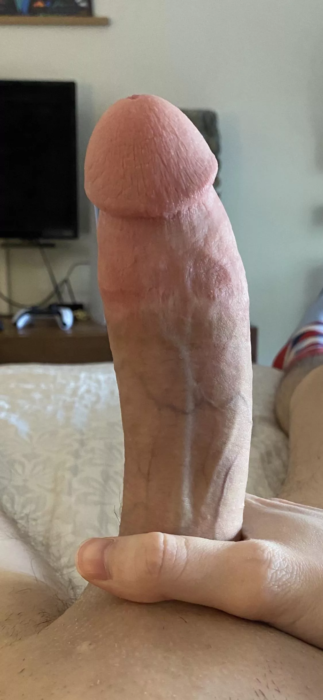 Does my cock impress you? posted by Handsomehorsecock