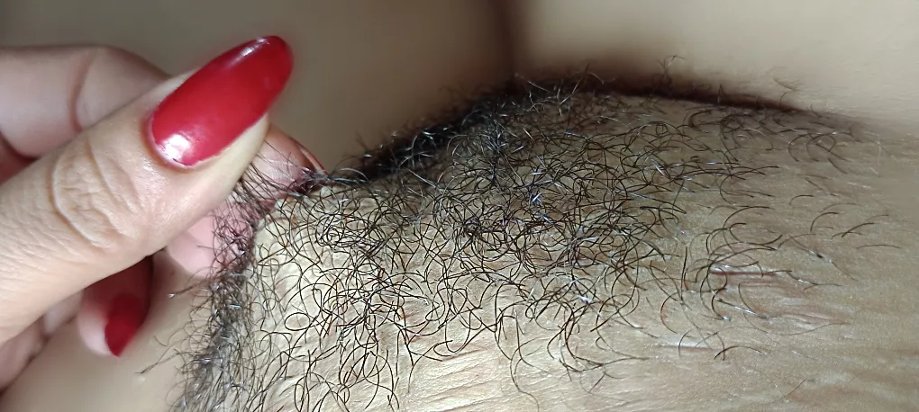 hairy pussy, nipples, armpits. I love hairy world posted by lalidk9