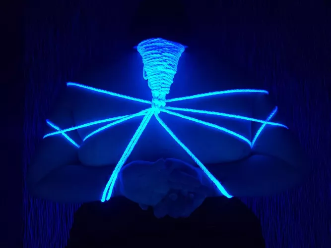 I got toped by a beautiful woman and She put me in a chest harness! by ghostpepper1995