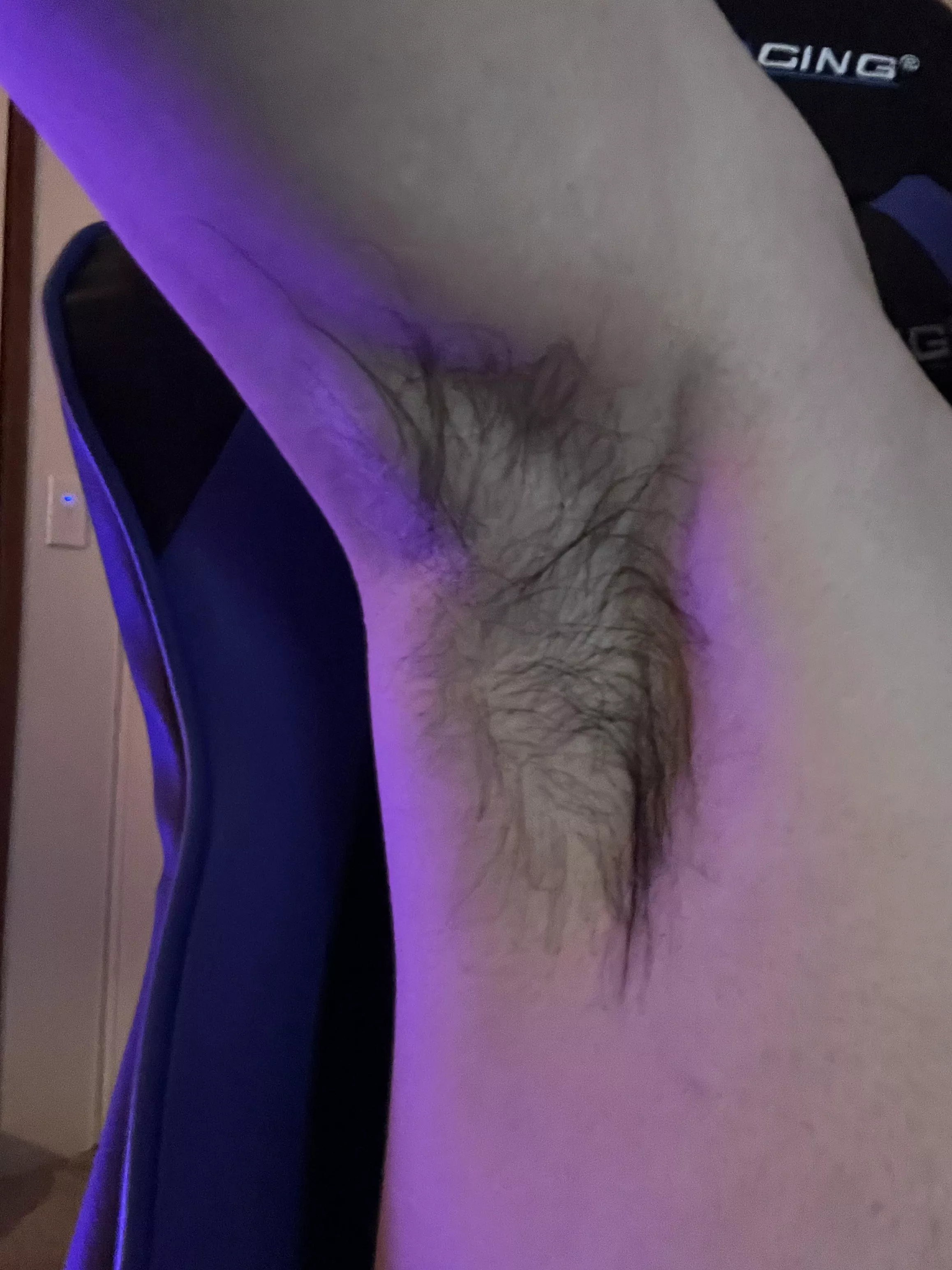 Kinda musky. Who wants my scent? posted by Jaybowee