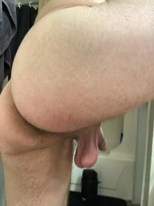 low hanging fruit 🍒 by honamp