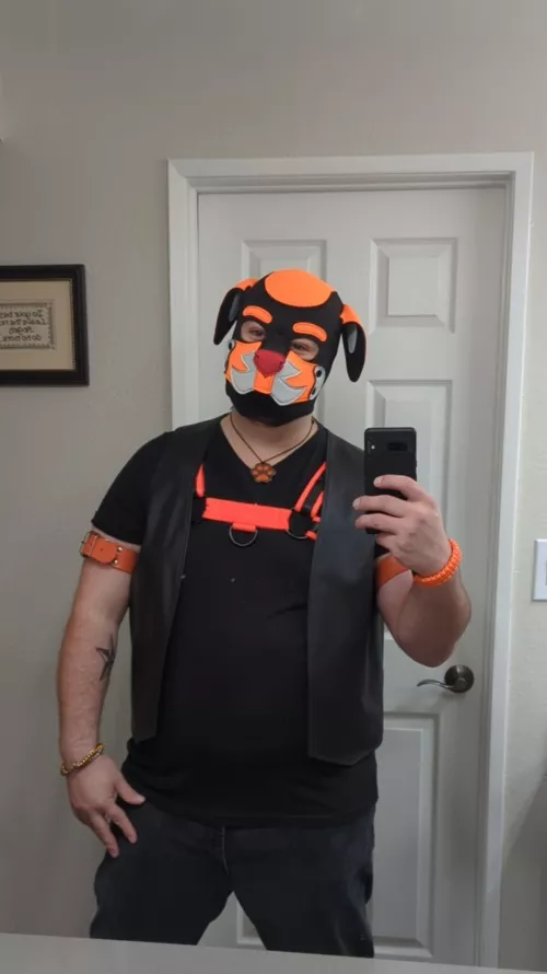 Master is ready for his pups by mcrwd1