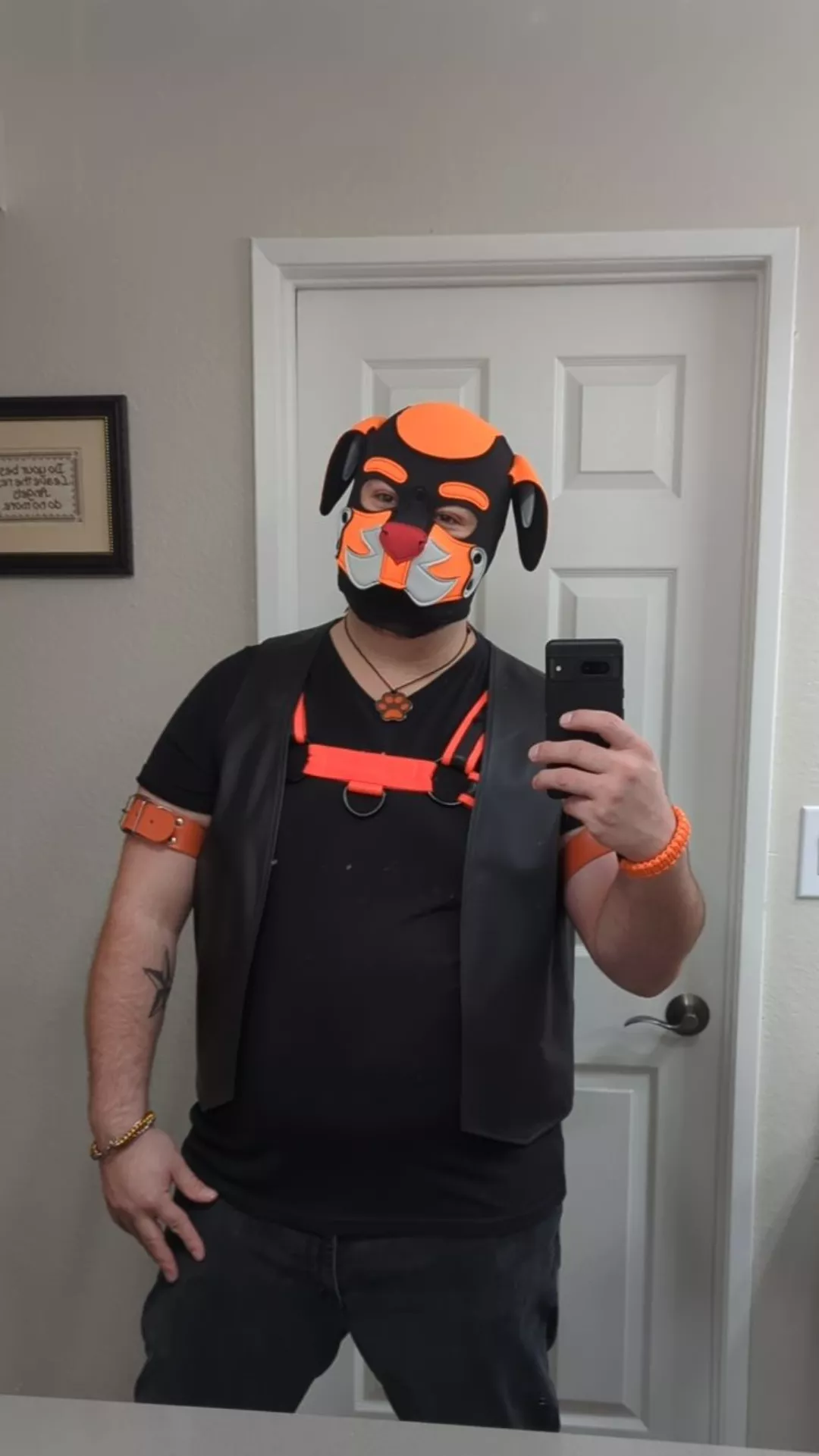 Master is ready for his pups posted by mcrwd1