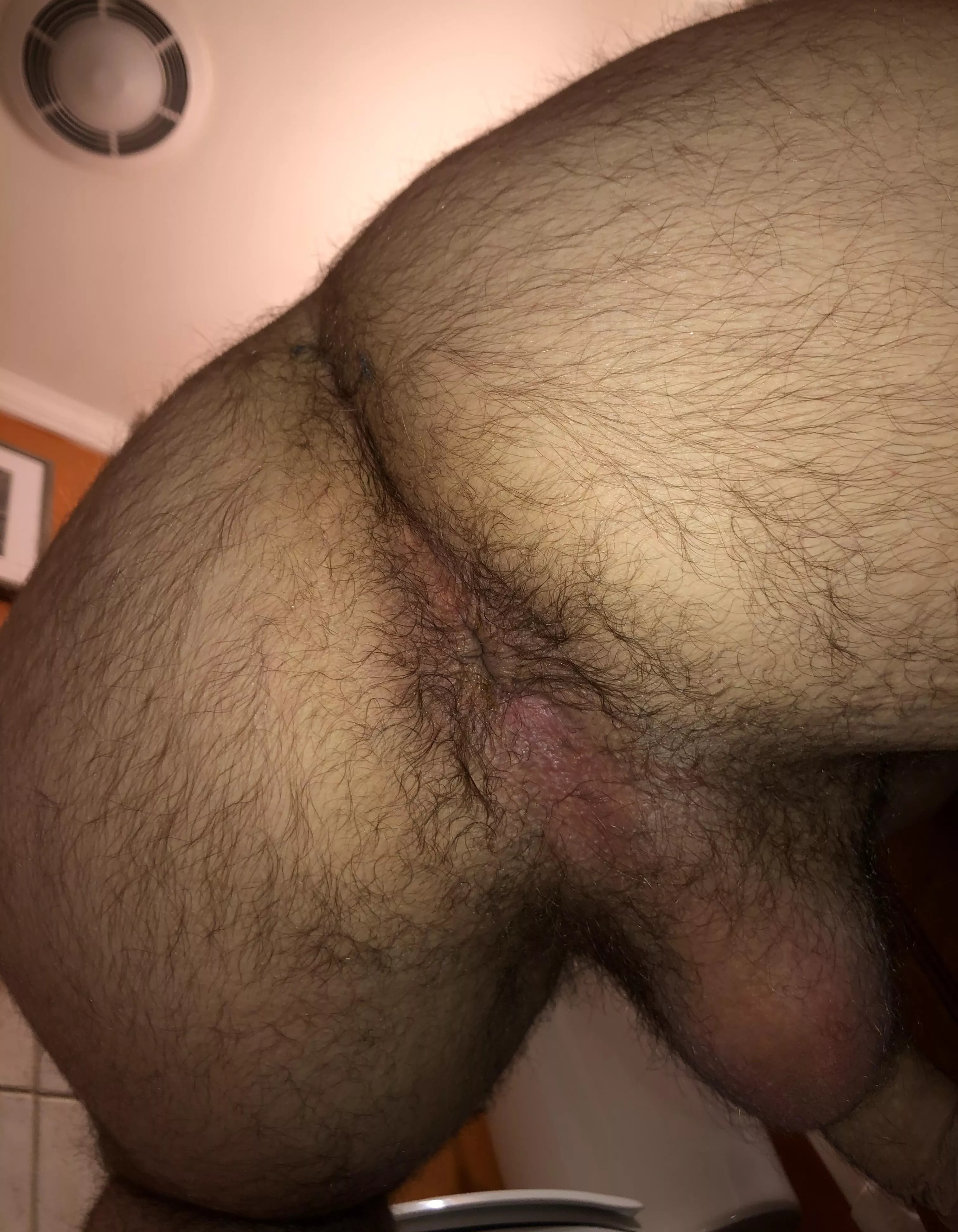 Play with my hairy hole. posted by Daddylongdick1215