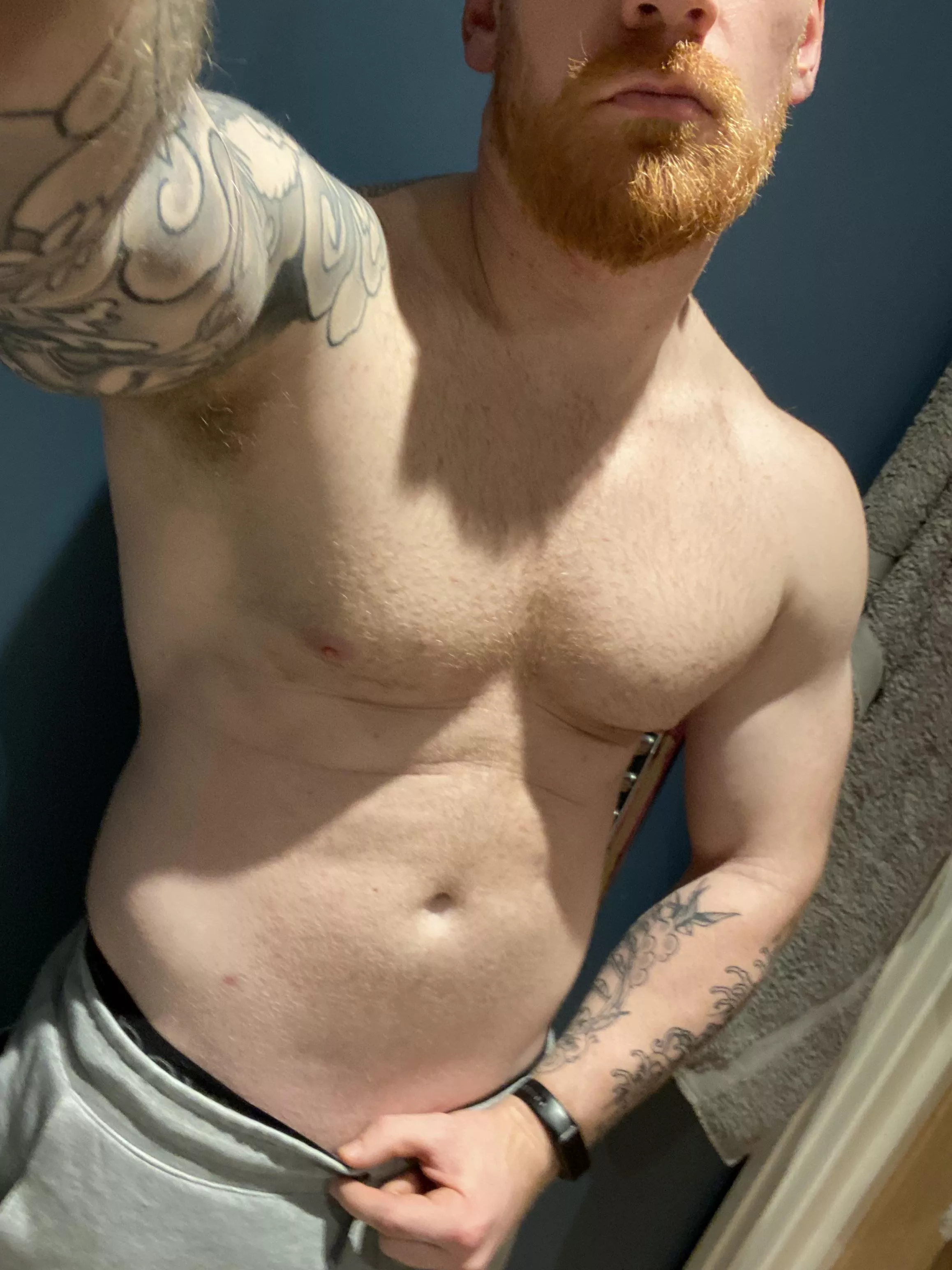 Say hi posted by ginjaad