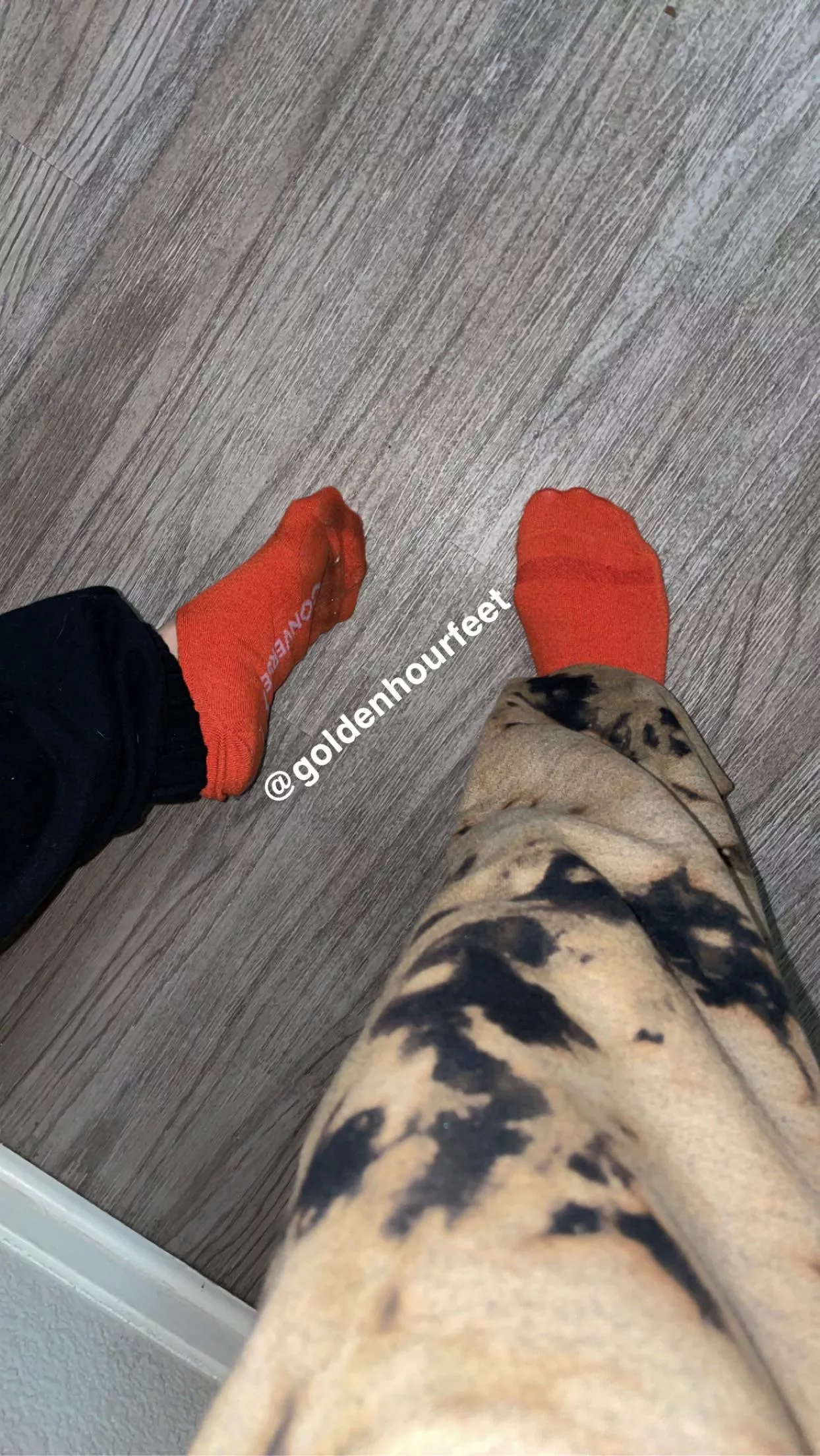 [selling] my smelly converse no shows🧡 posted by goldenhourfeet