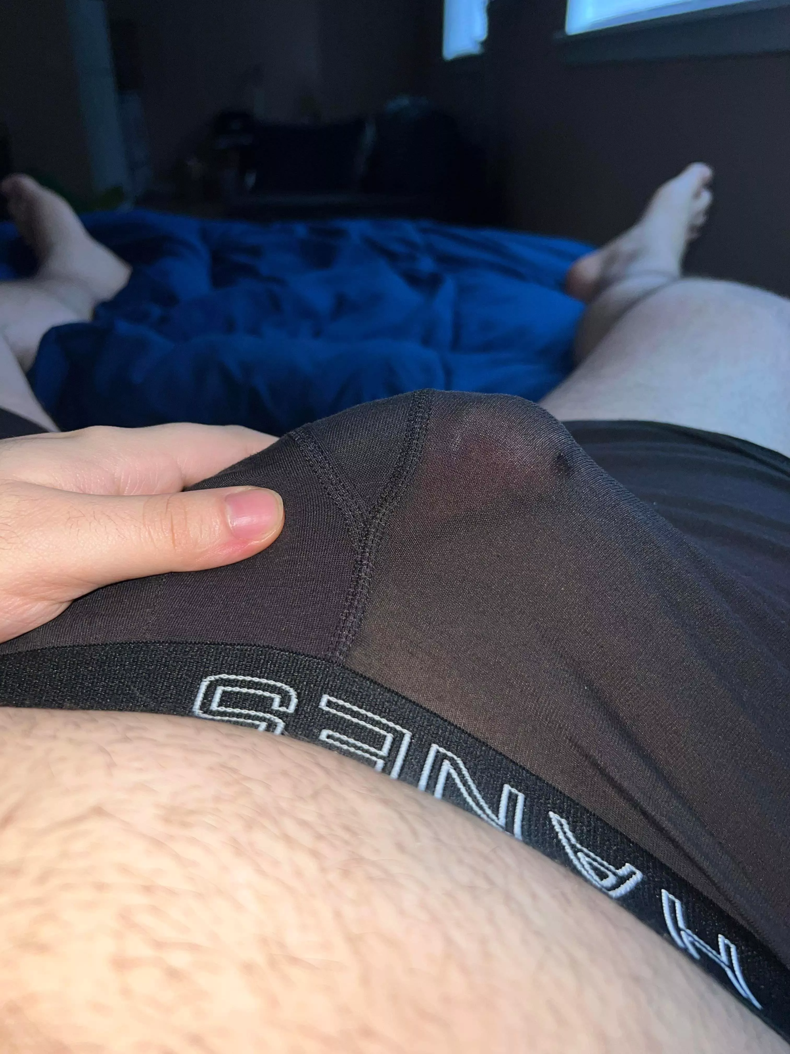 Who wanna play with it? posted by [deleted]