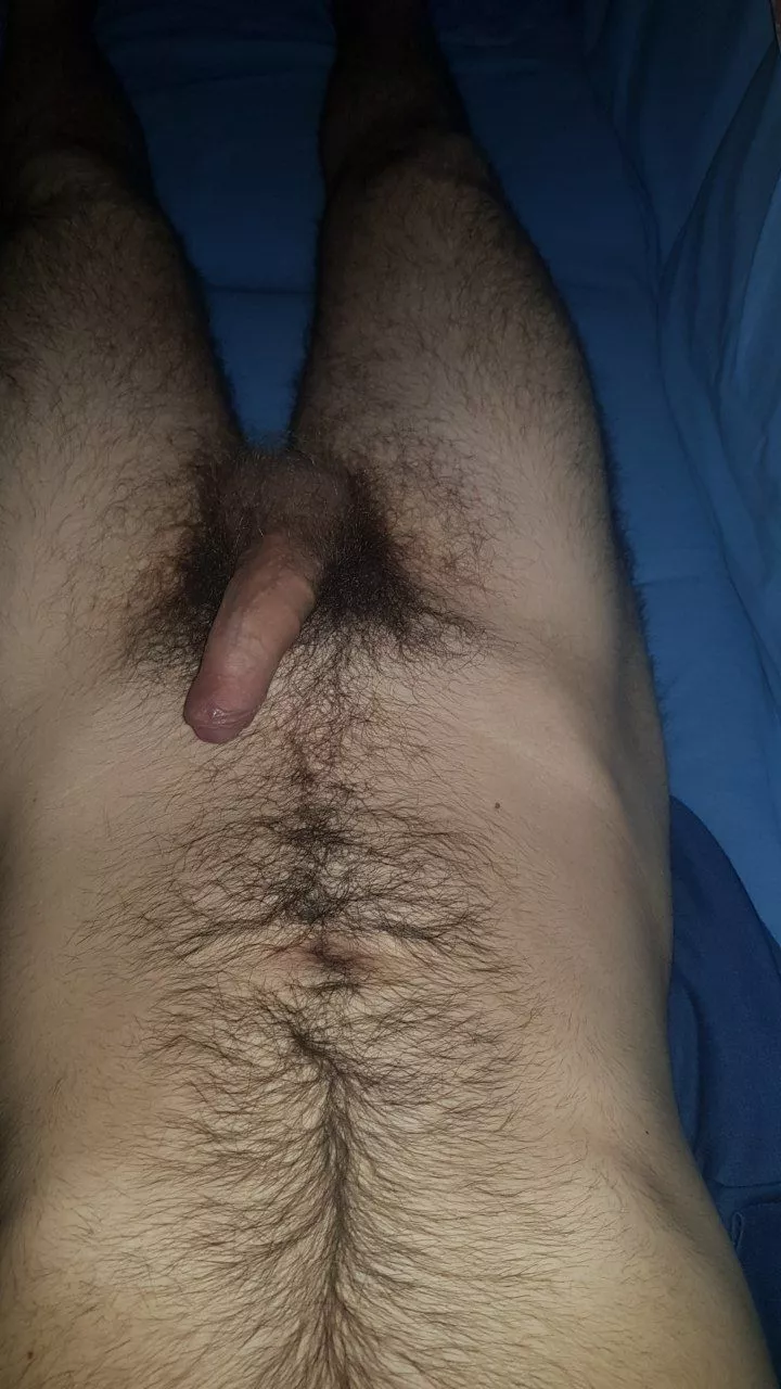 Who wants to suck this hairy 19 years old cock posted by nayvow