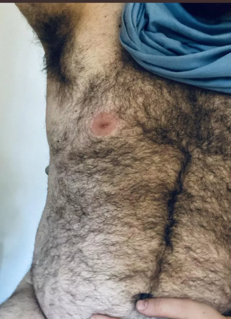 Bear pit posted by notaredditacct101